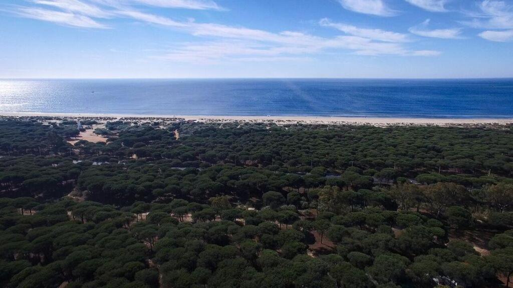 Camping Giralda Camping Huelva