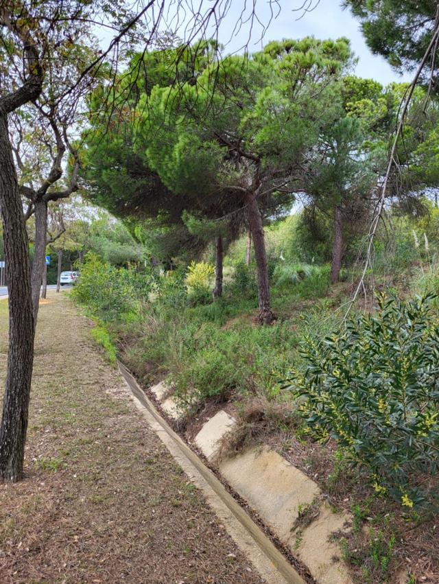 Golf Y Playa En Islantilla Apartamento *