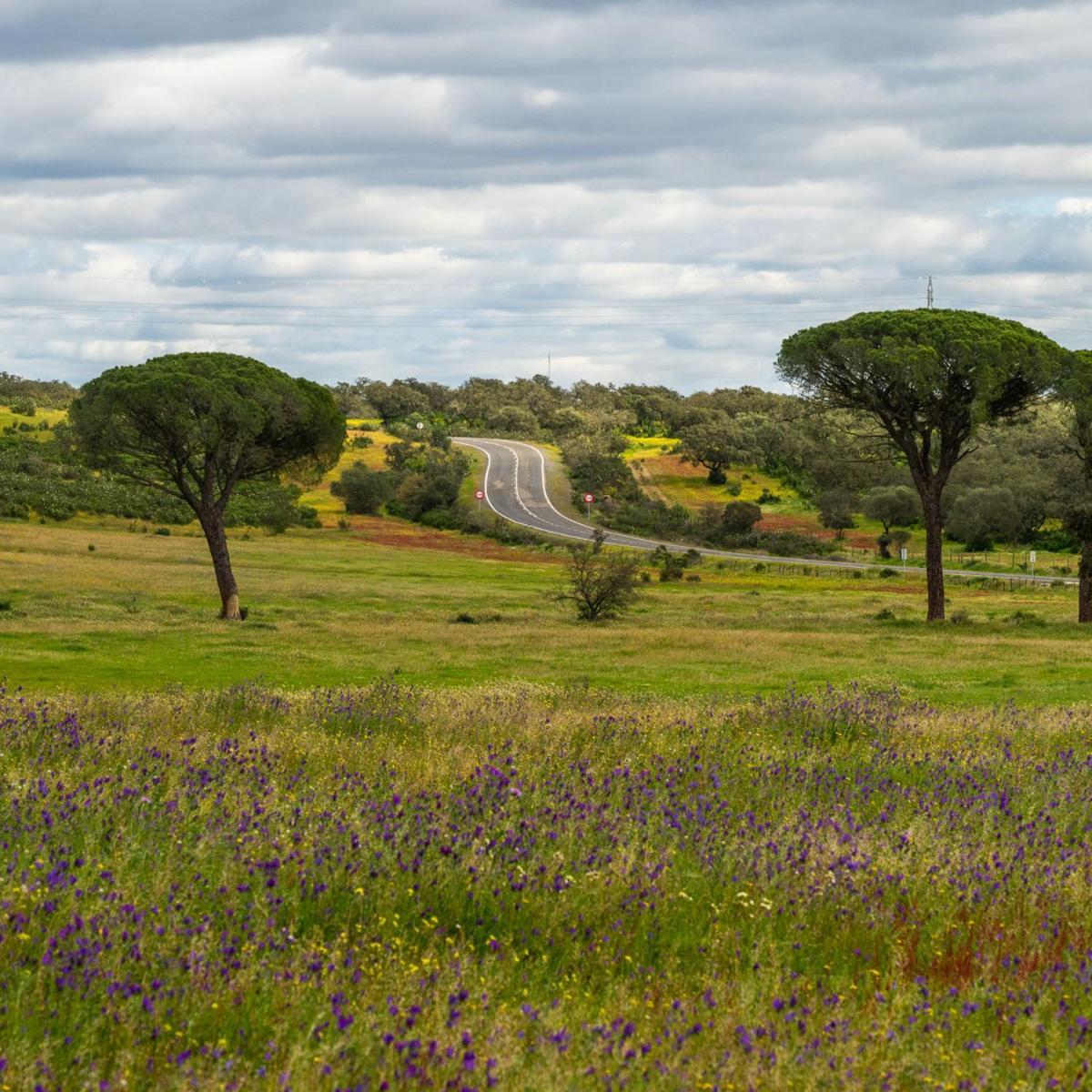 Villa Contrabando Completa 20 Pax Huelva