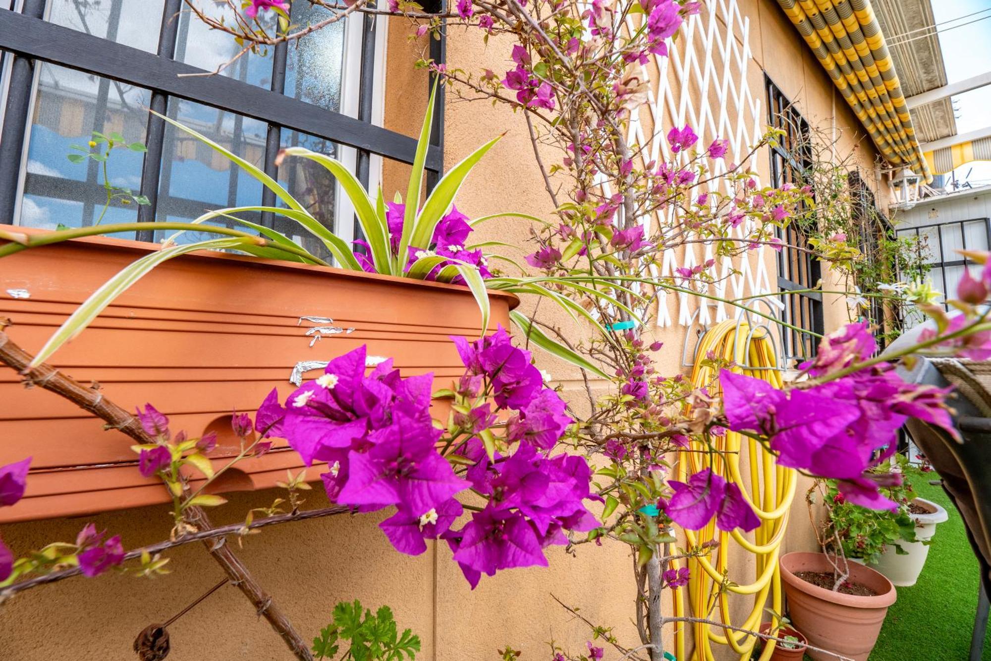 Apartamento Atico Con Terraza Junto A La Catedral