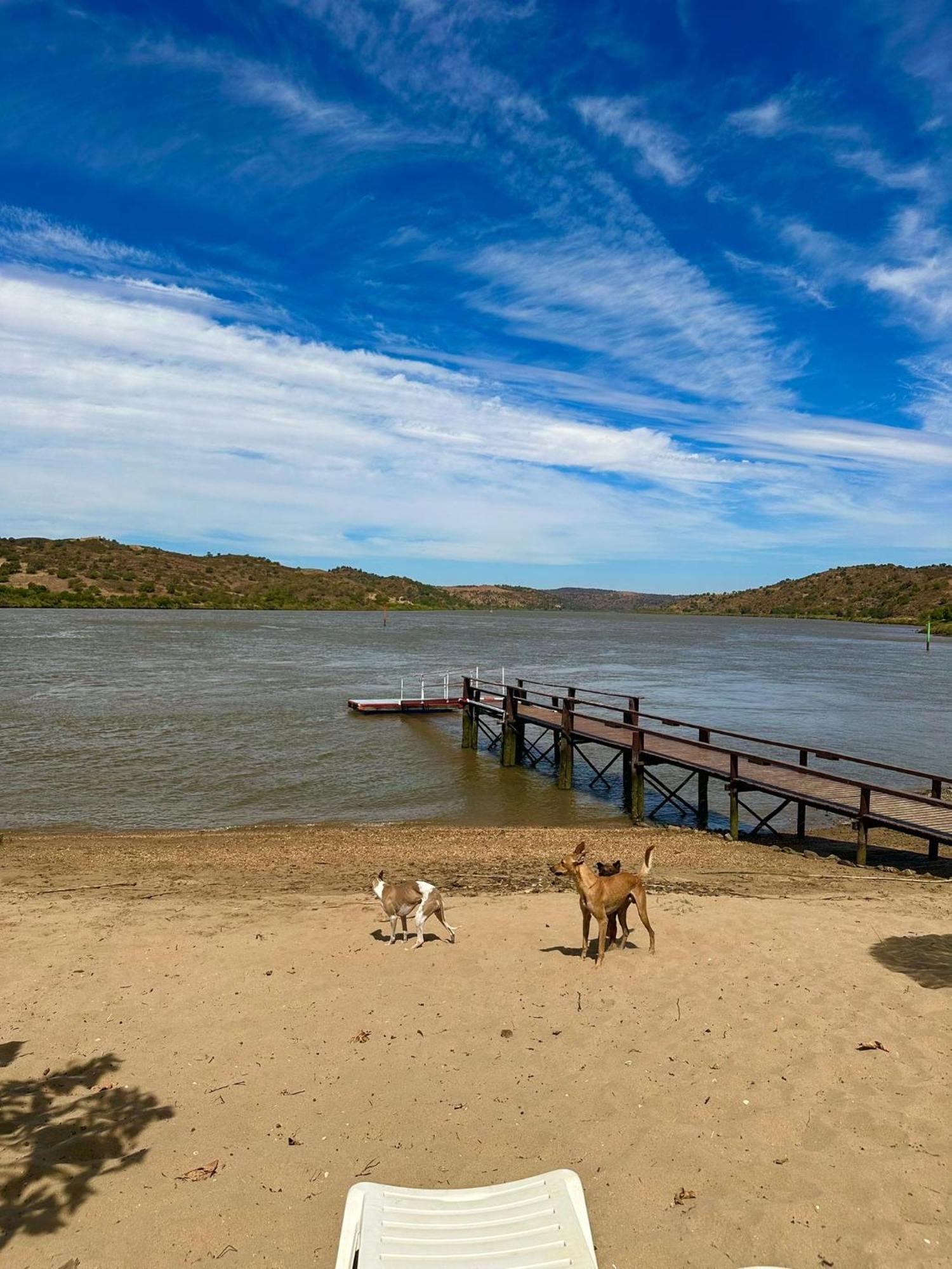 Сasa de vacaciones Magnifica Casa A Orillas Del Guadiana *