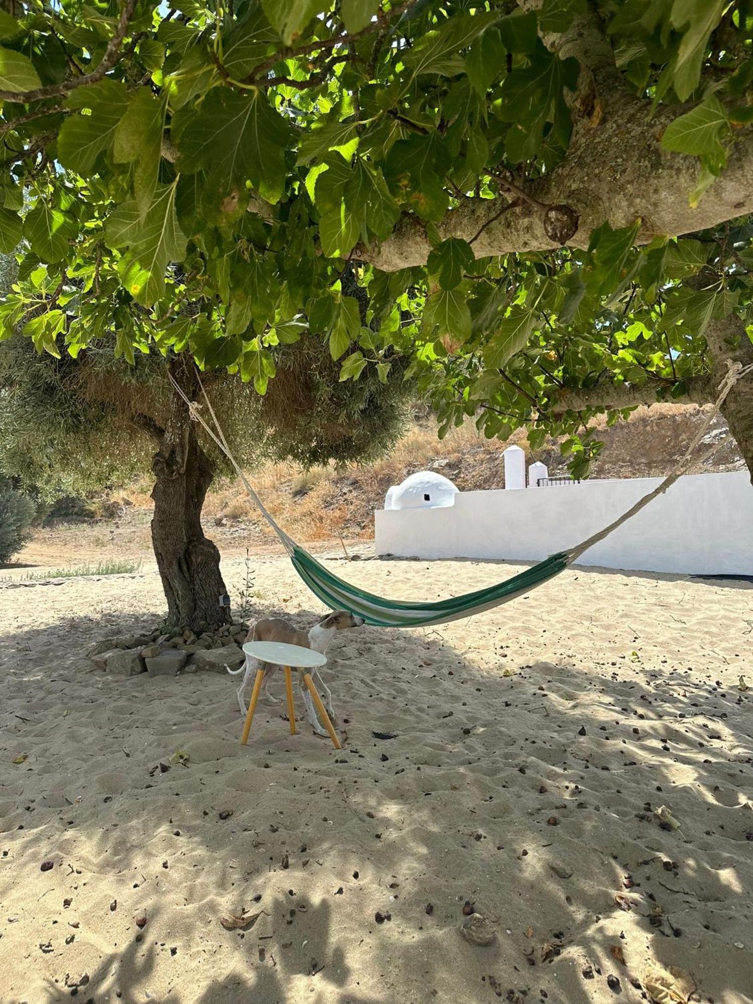 Magnifica Casa A Orillas Del Guadiana *