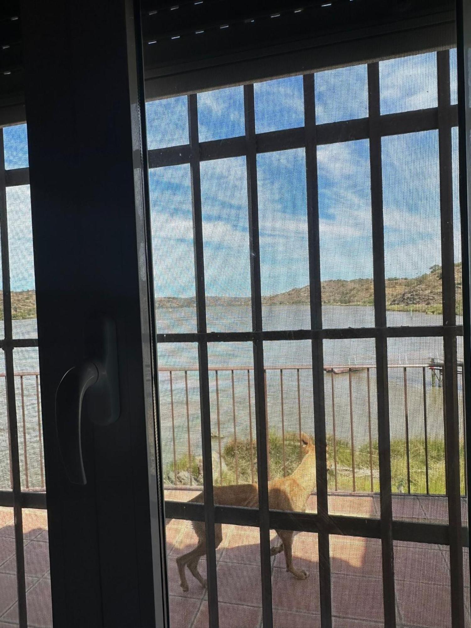 Magnifica Casa A Orillas Del Guadiana Huelva