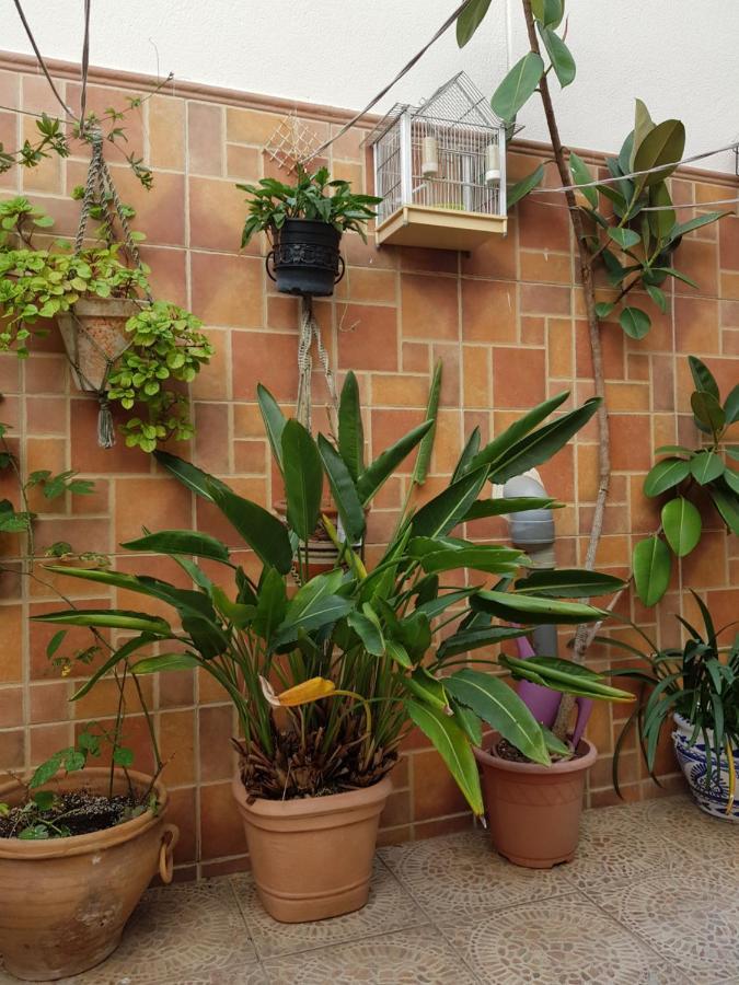 La Vega Guest house Huelva