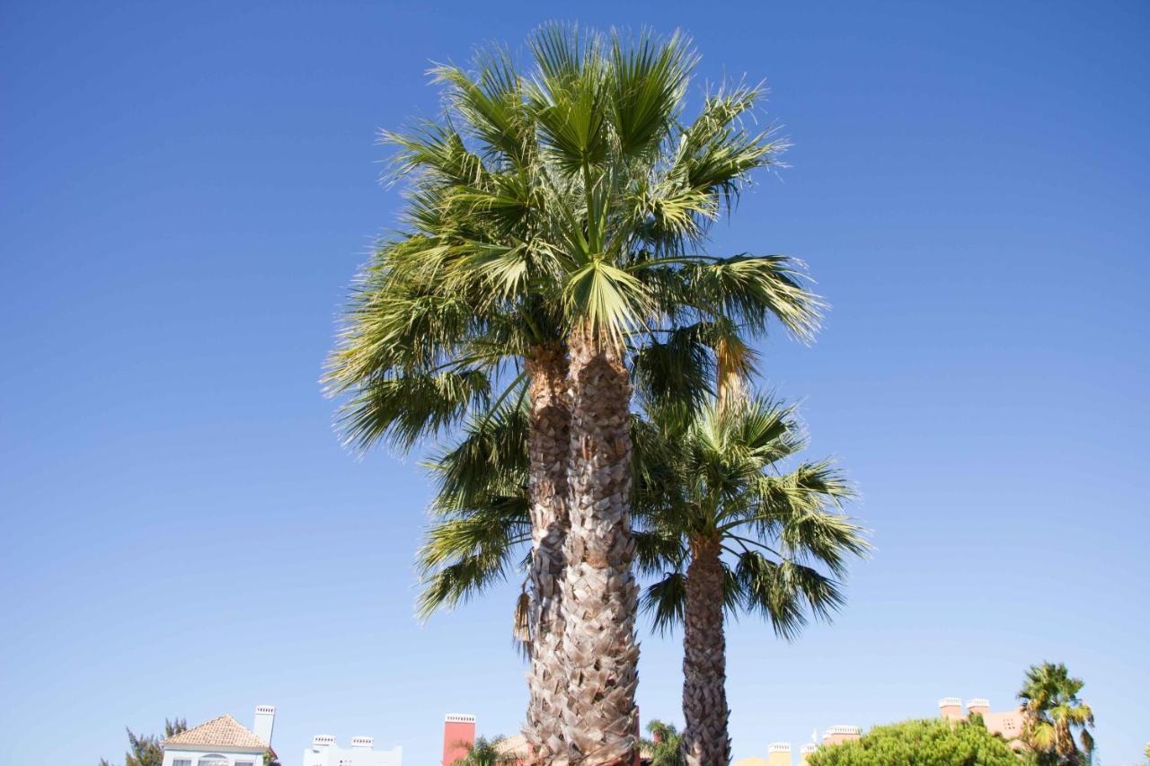 Apartamento Lujo A 5 Minutos De Isla Canela Y De Ayamonte. Algarve Portugues. *