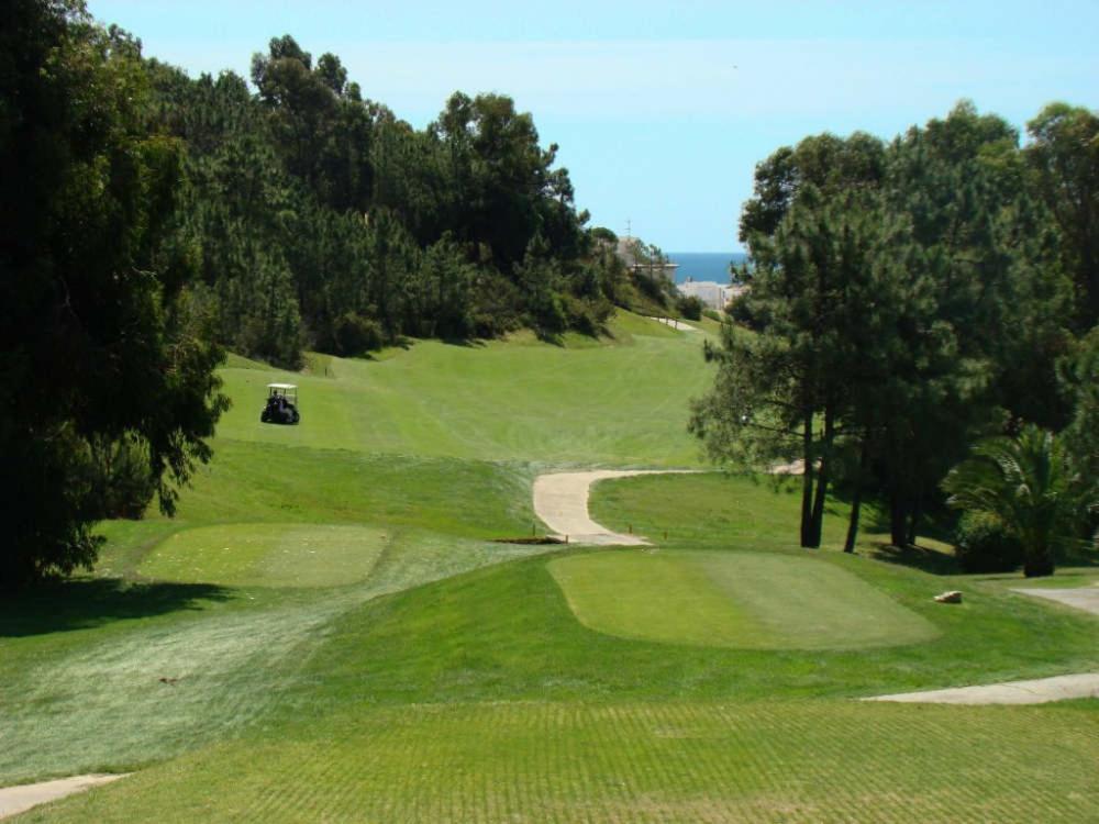 Pinares De Lepe * Huelva