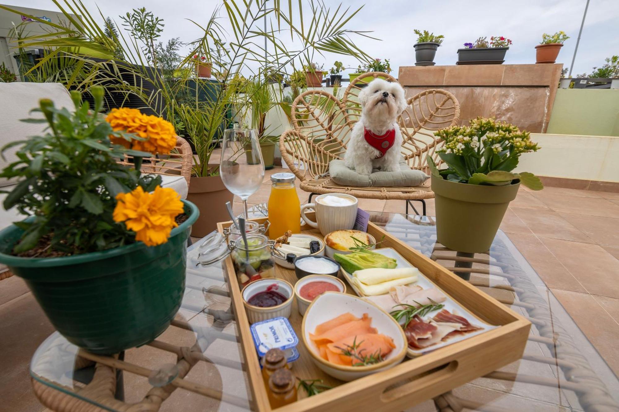 Growersgo Boutique Hostal