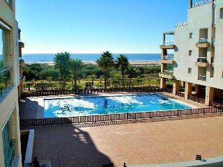 Leo Alcaudon-alcaravan Hotel Isla Canela