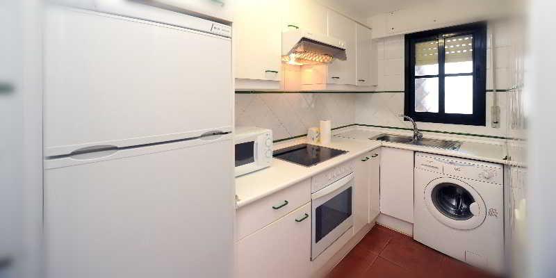 Leo Alcaudon-alcaravan 4*