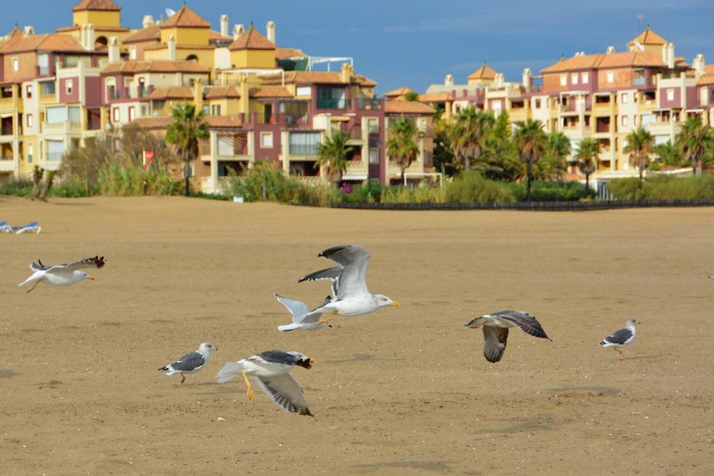 Duplex Junto Al Campo De Golf By Inmobiliaria Esuri Apartamento *