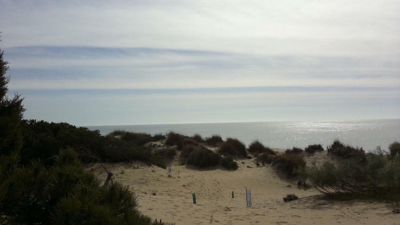Duplex En A 15 Minutos En Coche De Mejores Playas De Espana Apartamento *