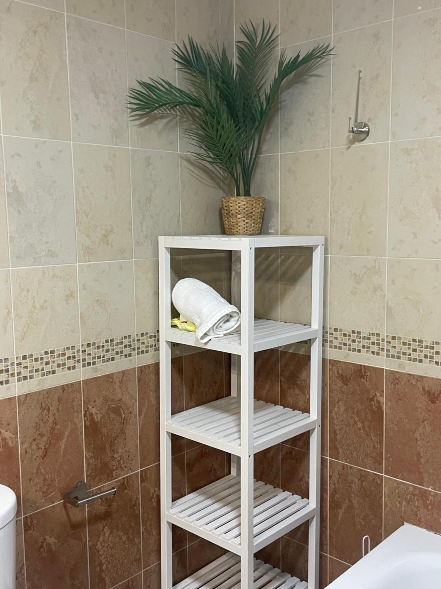 Apartamento Piso En El Centro De Silencioso Y Con Gran Patio, Calle La Paz *